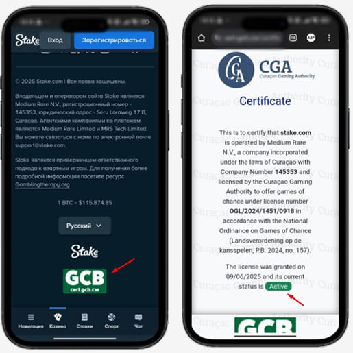 Лицензия Stake Casino